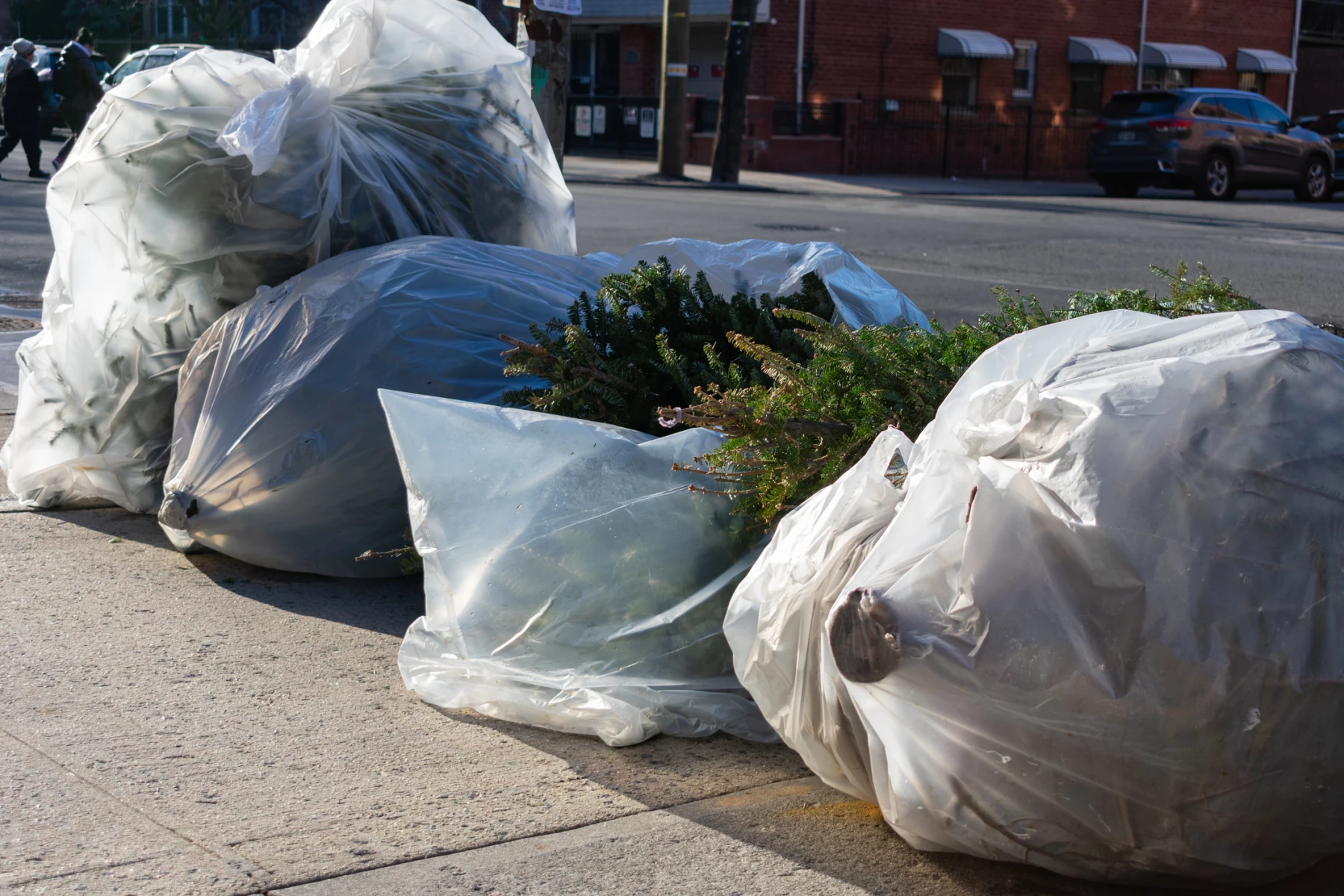 ¿Natural o artificial? Cómo reducir el impacto ambiental de tu árbol de Navidad