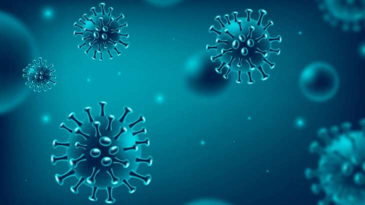 ¿Están vivos los virus? Esto explican los científicos de los microorganismos como el COVID