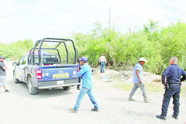 Deambula oso al norte de la ciudad