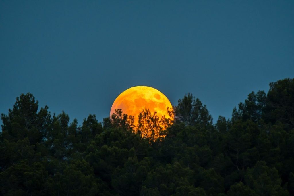 Eventos astronómicos que podrás ver en enero