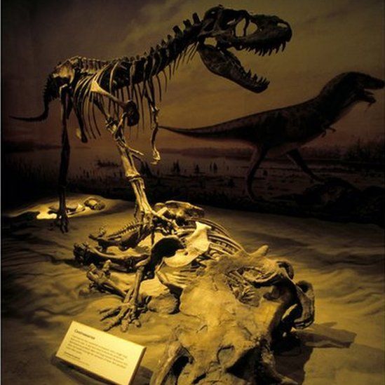 El cáncer que sufrían los dinosaurios hace 77 millones de años y que aún padecen miles de personas cada año