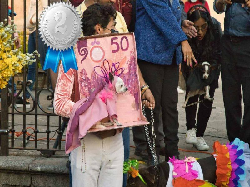 Ajolo-huahua: Disfrazan a perrito de billete de 50 pesos y las fotos se viralizan