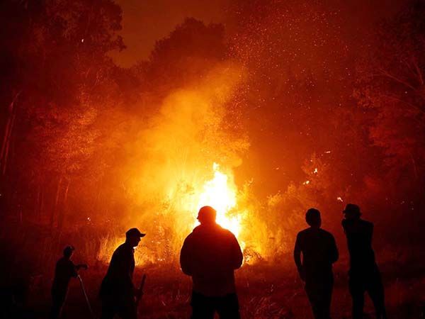 Incendios en Chile cumplen una semana sin control