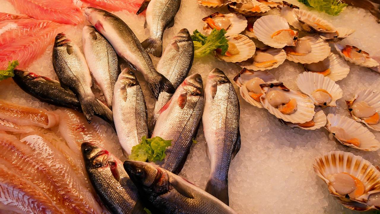 Inflación ‘le pega’ a la cuaresma: Este es el precio de mariscos y pescados en CDMX y Edomex