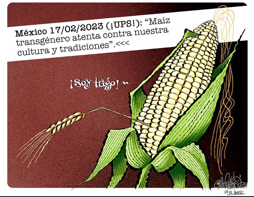 CUANDO EL IXTLERO HABLA