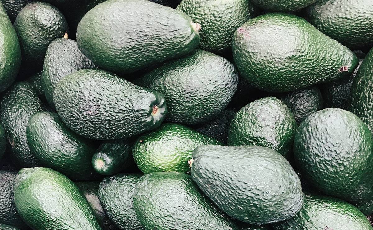 Por estas razones el aguacate es tan caro