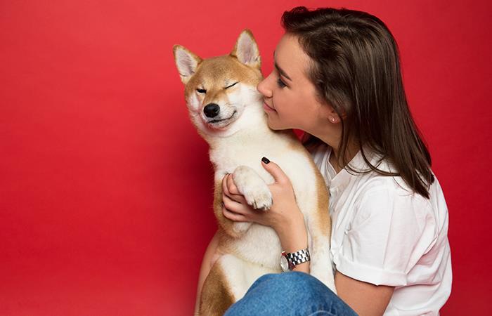 ¿No les gusta? Razones por las que no deberías abrazar a tu perro