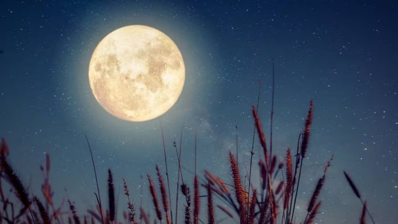 ¿Mudanza a la Luna? Descubren toneladas de agua en perlas de vidrio