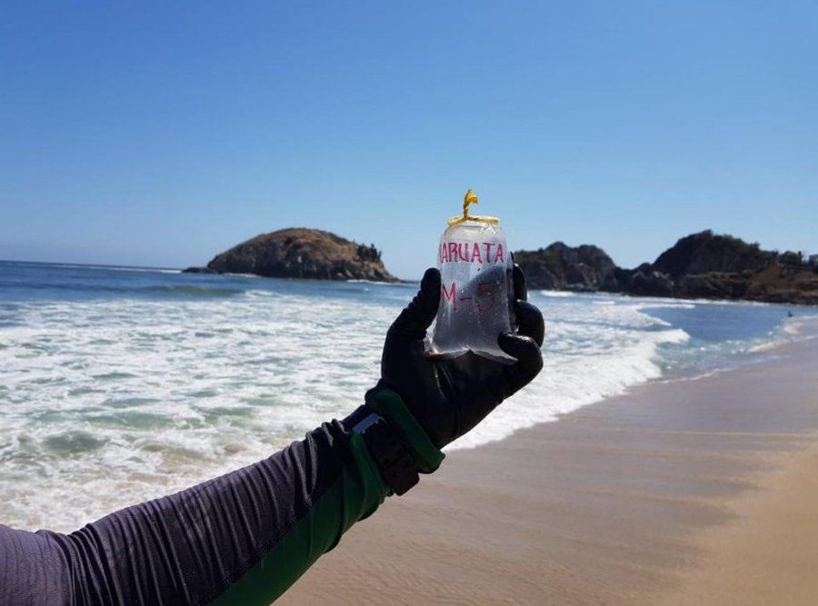 Vacaciones de Semana Santa: Estas playas fueron reprobadas por ‘cochinas’