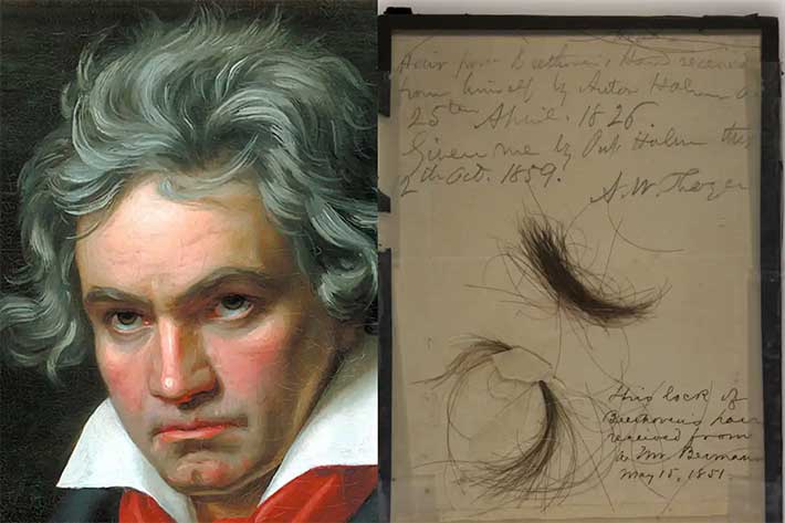 Descifraron el genoma de Beethoven y revelaron misterios sobre la causa de su muerte