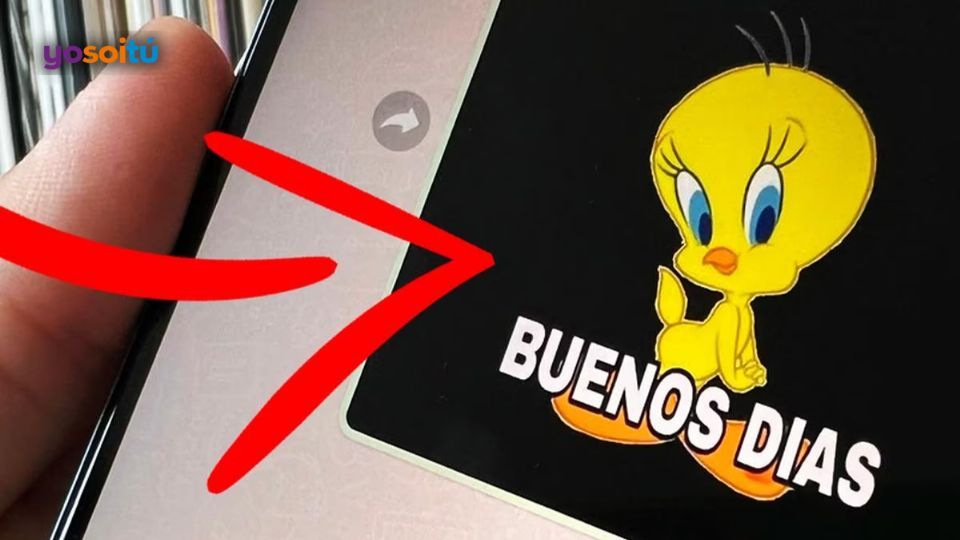¿WhatsApp puede suspender tu cuenta por compartir Piolines dando los buenos días?