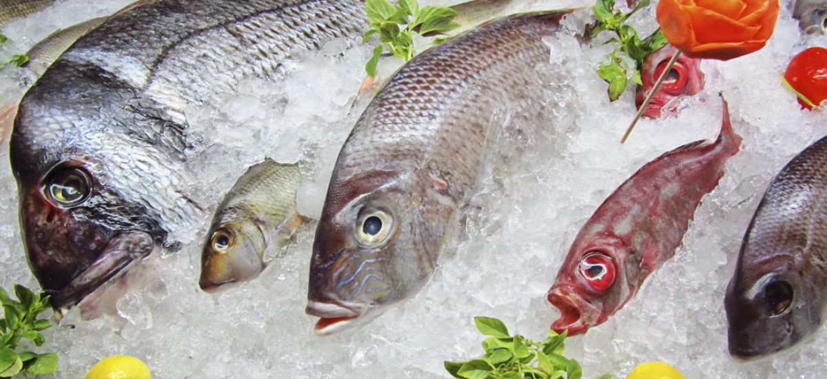 Cómo saber que el pescado ya no está fresco