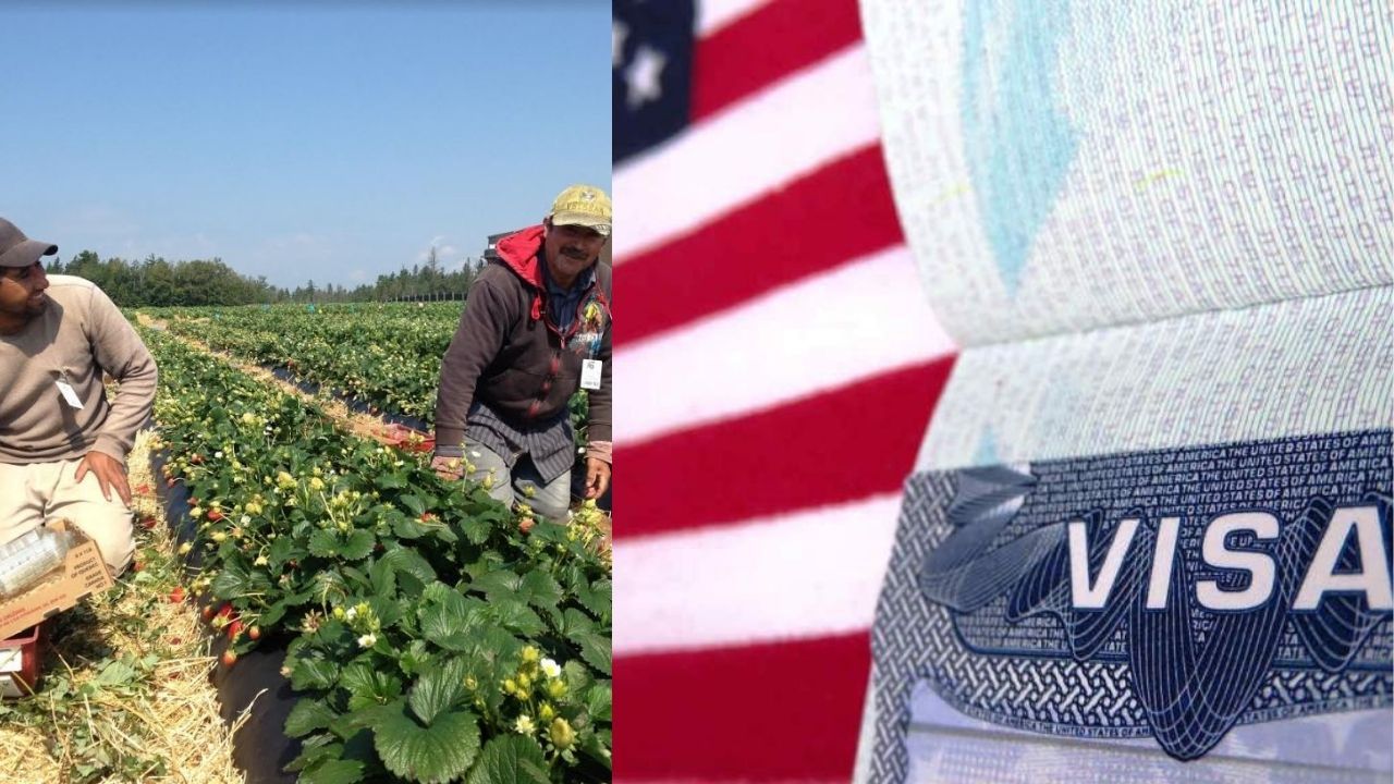 Visa americana H-2A: Requisitos y cómo pedirla para trabajar en el campo de EU