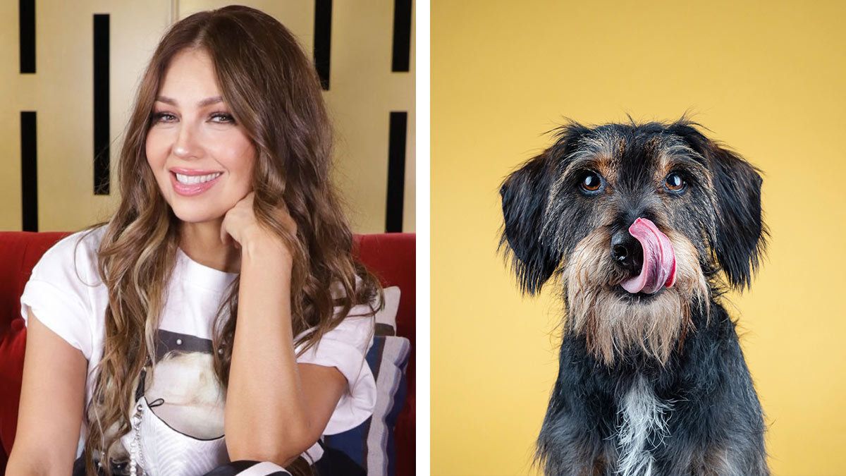 Pasó 10 años después: el emotivo reencuentro de Thalía y el perro Pulgoso, de “Marimar”