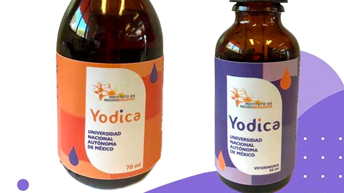 Esto debes saber de ‘Yodica’, el medicamento creado por la UNAM vs. diabetes y cáncer