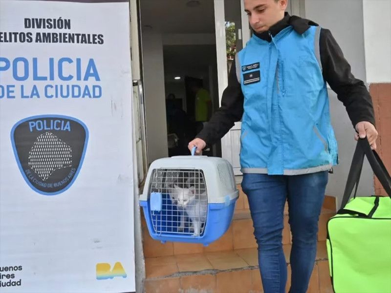‘Karen’ enloqueció… la mandan al psiquiatra por torturar y comerse a los michis