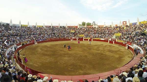 El lado oscuro de la Feria del Caballo