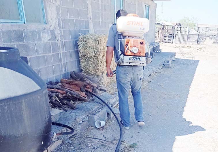 Avanza fumigación en la zona urbana y rural