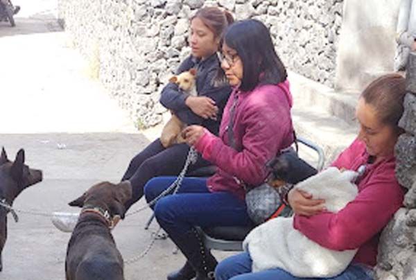 Adoptan monclovenses cuidado de las mascotas