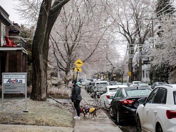 Tormenta de hielo deja sin luz a más de un millón en Canadá
