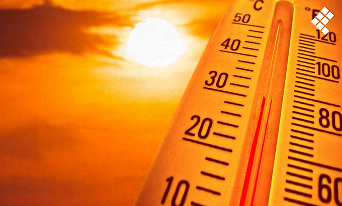 Calor intenso provoca cambios en la conducta