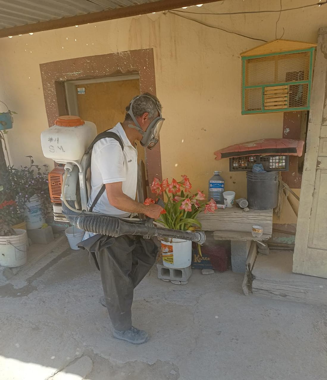 AVANZA FUMIGACIÓN EN ZONA URBANA Y RURAL DE RAMOS ARIZPE