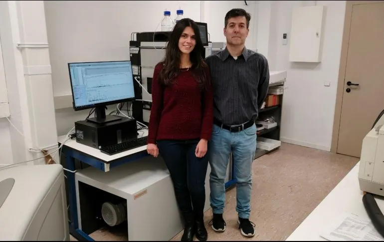 Investigadores hallan proteína con rol clave en el cáncer de endometrio