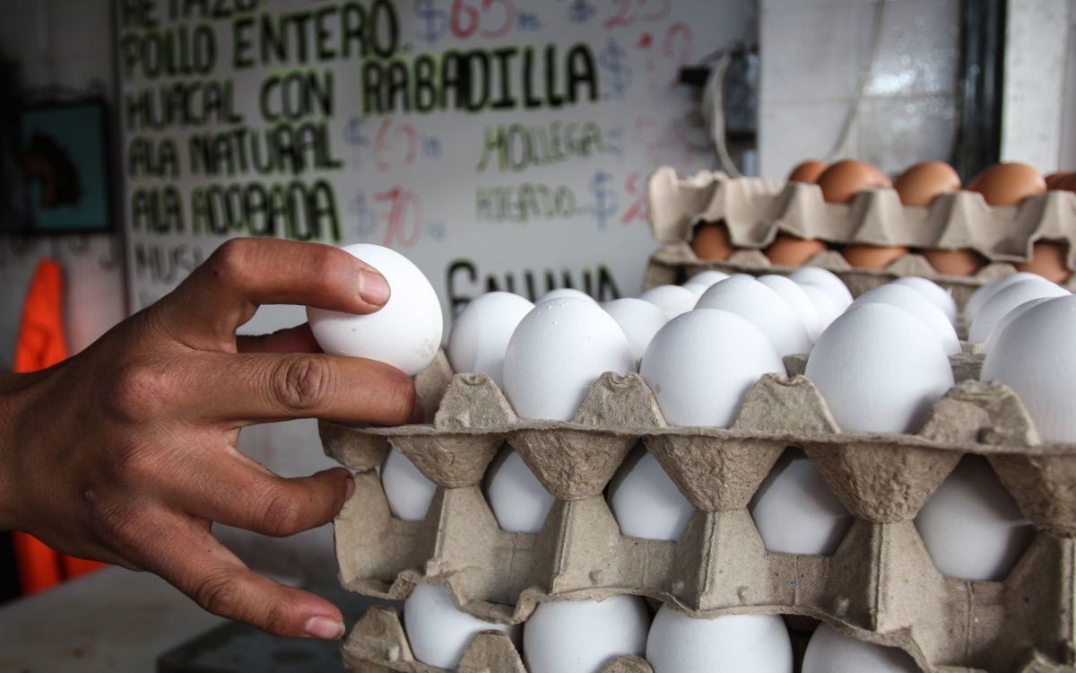 Conoce los productos básicos que más han subido en 2023