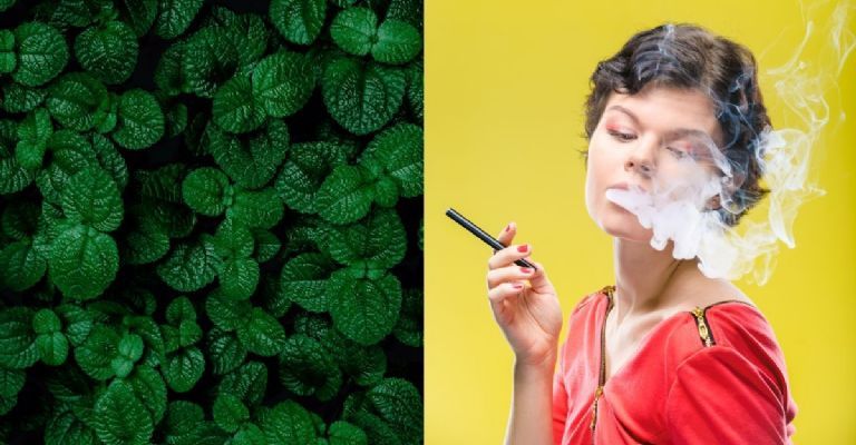 ¿Usas vapeadores con sabor menta? Es más tóxico para los pulmones