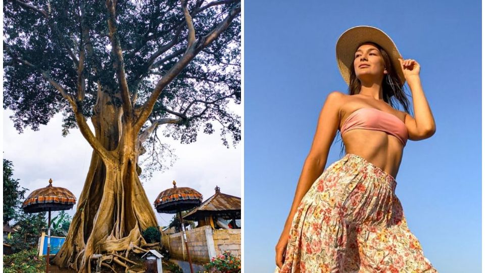 Detienen a «curandera» por tomarse una foto prohibida en el árbol sagrado de Bali