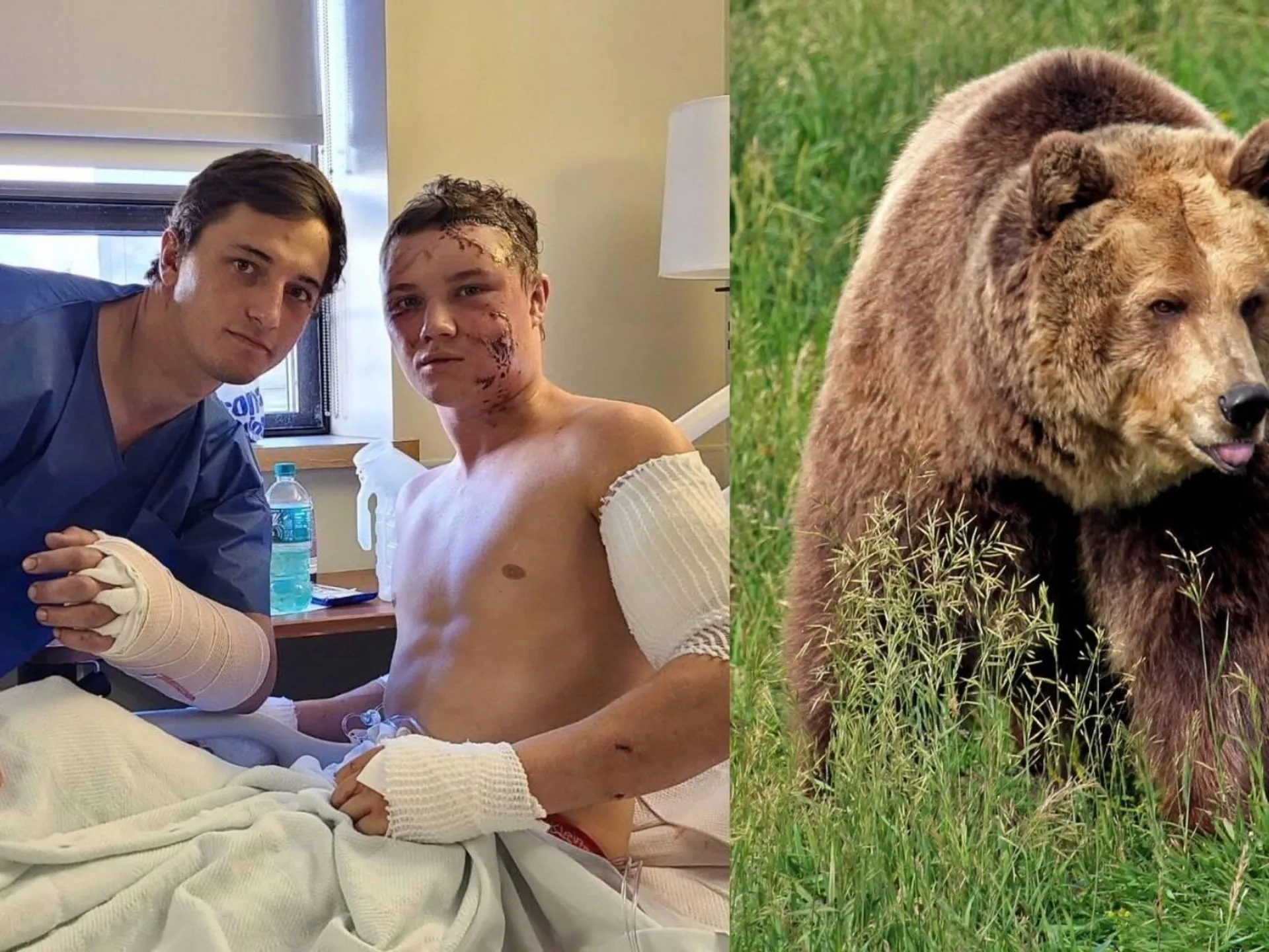Joven héroe se enfrenta a un oso para salvar la vida de su amigo