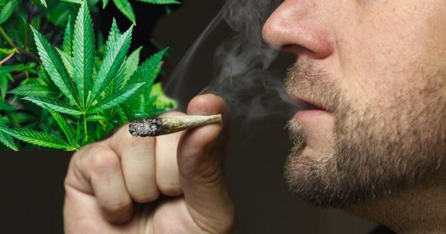 Día 4/20: ¿Cuáles son los efectos de la exposición al humo de la marihuana?