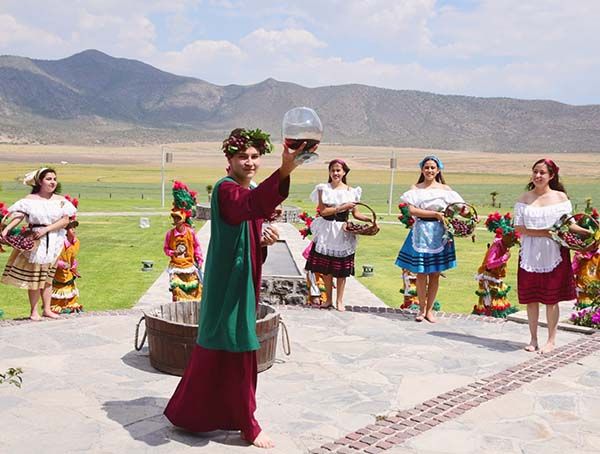 Coahuila, en el top 6 de las mejores regiones vinícolas