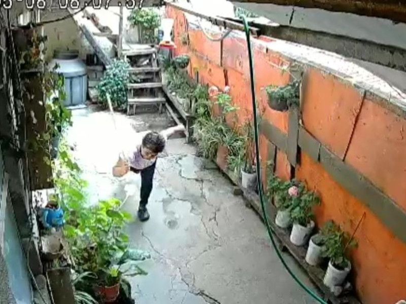 VIDEO: Señora golpea a perrita con un palo; arrastrándose trató de escapar