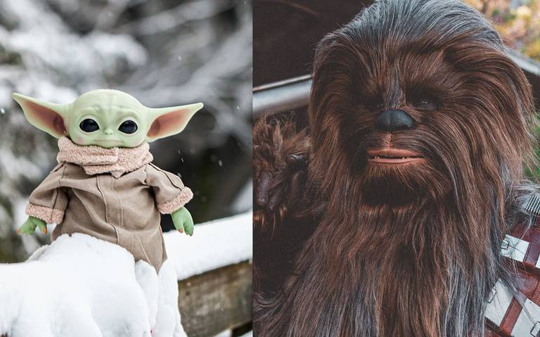 Cinco curiosidades indispensables de Star Wars que todo fan debe saber
