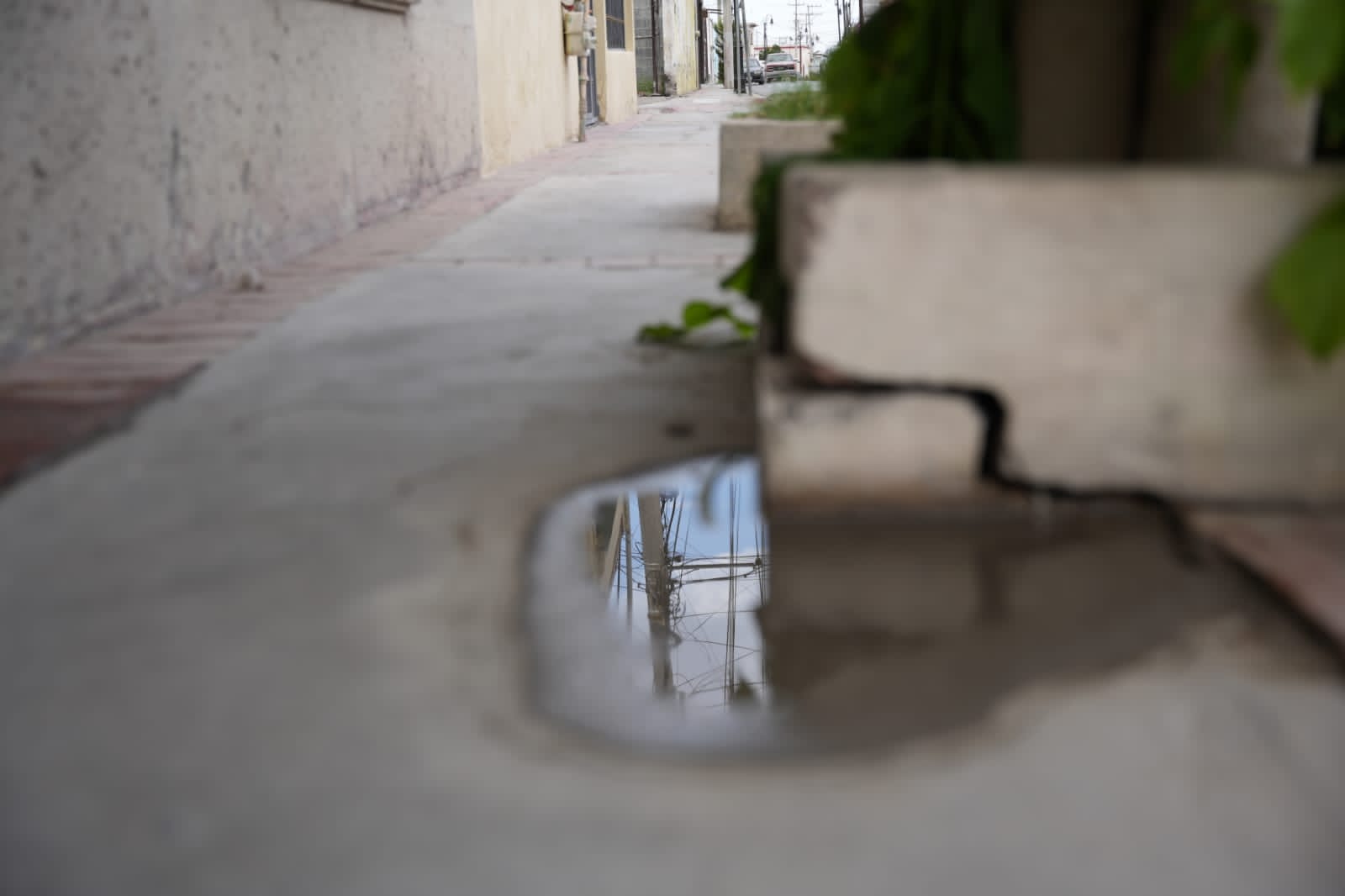 LLAMAN A RAMOSARIZPENSES A PREVENIR EL DENGUE