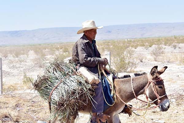 Respalda Alcalde de 4C la labor de candelilleros
