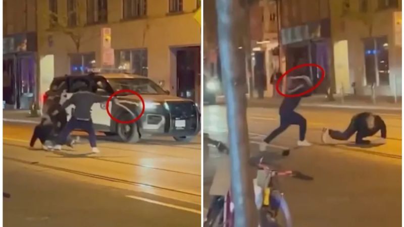 VIDEO: Inusual pelea callejera; hombre ataca a otro con una serpiente 
