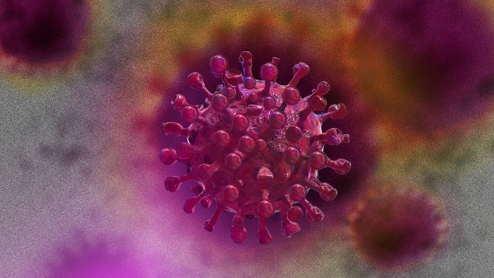 OMS advierte que se acerca otra pandemia: será más mortal que la del Covid-19