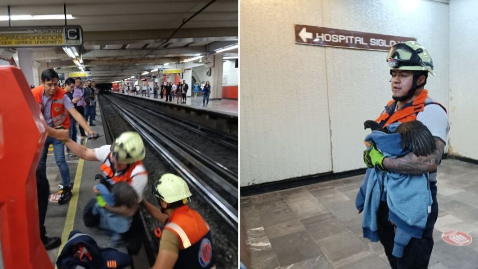 VIDEO: Gallina provoca caos en la estación del Metro CDMX