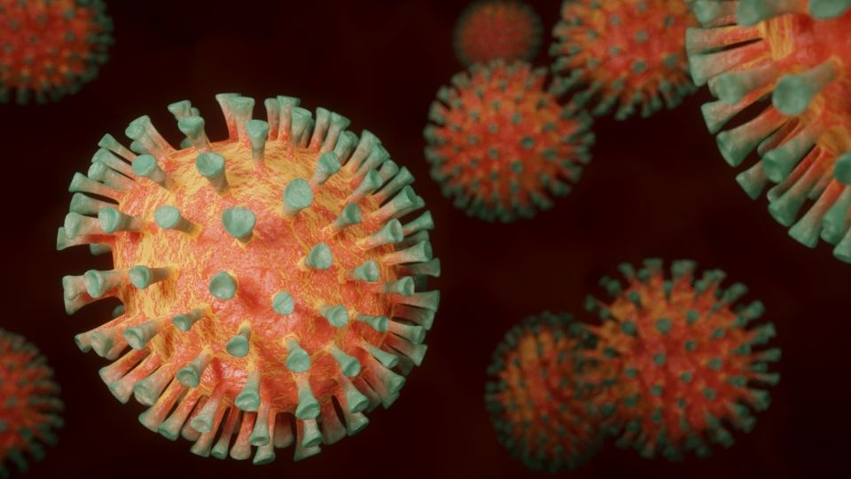 El coronavirus le costó 337 millones de años de vida a la humanidad: OMS