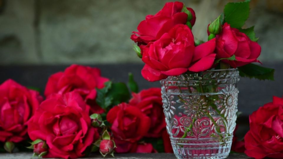 Día de las Madres: 3 flores que no son rosas rojas y que tu mamá va a adorar este 10 de Mayo