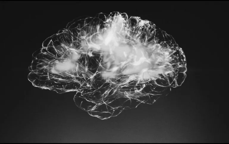 Salud mental: Mismo componente celular, responsable de autismo y esquizofrenia
