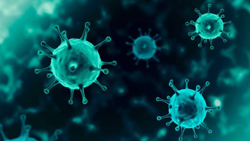 El COVID-19 sigue matando: Cada cuatro minutos muere una persona por el virus