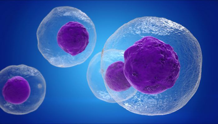 Ejercicio, inmunidad y cáncer