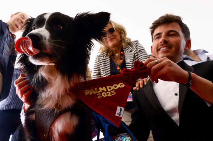 Messi, perrito de ‘Anatomía de una caída’ gana la Palm Dog en Cannes