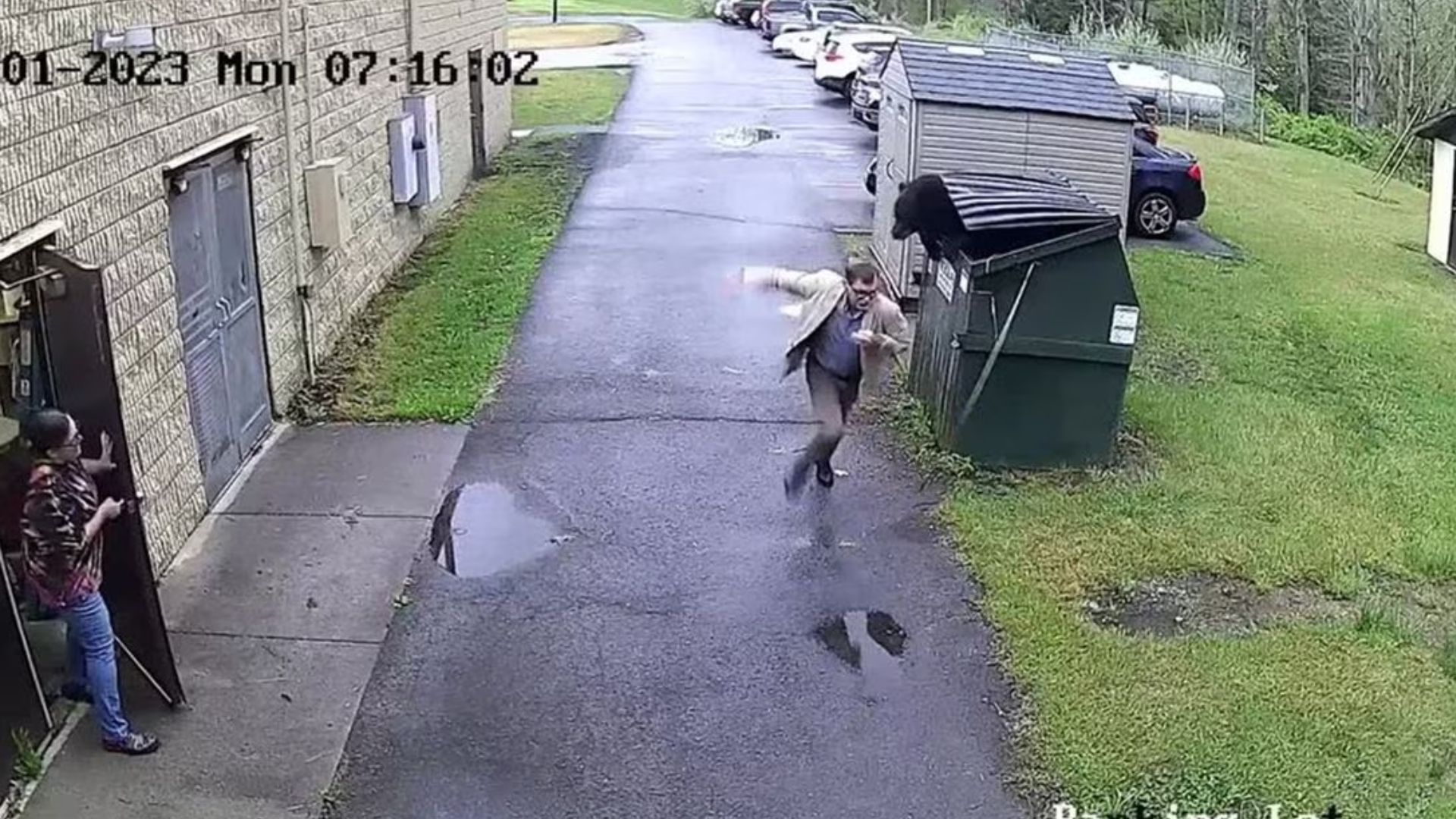 VIDEO: Oso sorprende a director de una escuela en Virginia y se hace viral