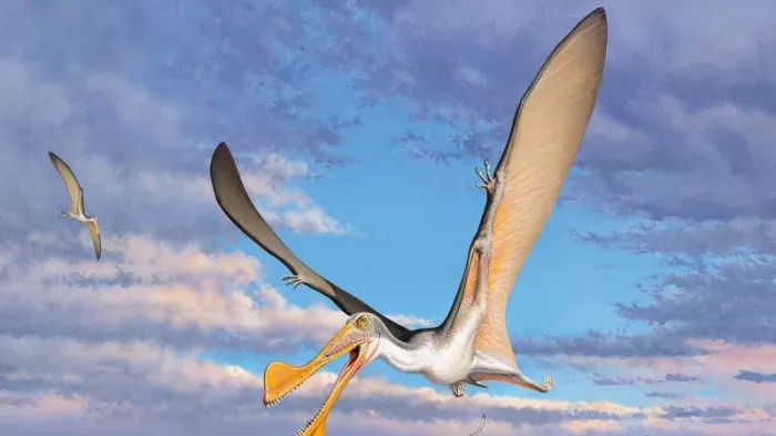 Huesos de pterosaurio encontrados en Australia revelan que el reptil volador más antiguo del mundo vivió allí hace 107 millones de años