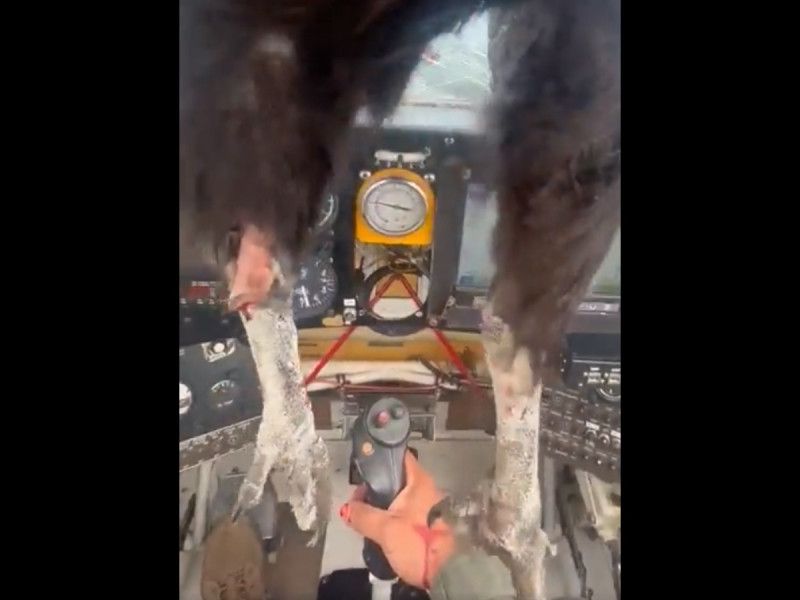 Ave choca contra avión y rompe el parabrisas; piloto capta todo