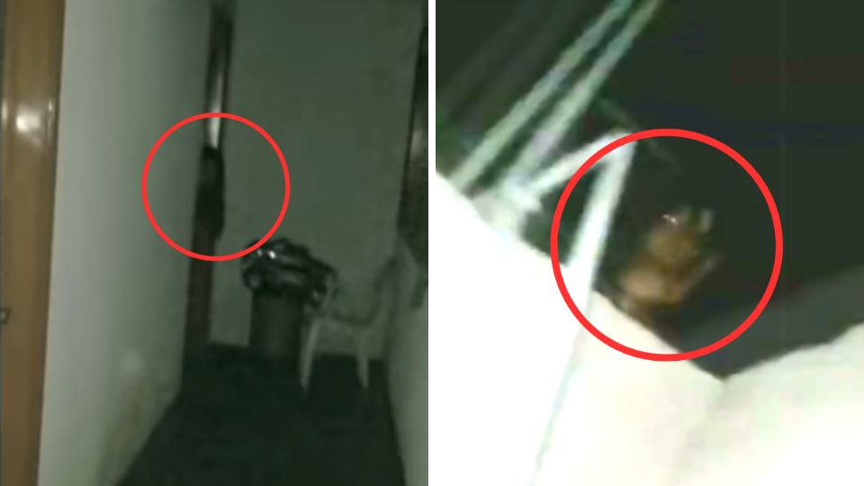 VIDEO: YouTuber logra captar un aterrador fantasma dentro de su casa y ruega por ayuda en aterradora grabación